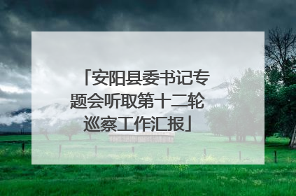 安阳县委书记专题会听取第十二轮巡察工作汇报