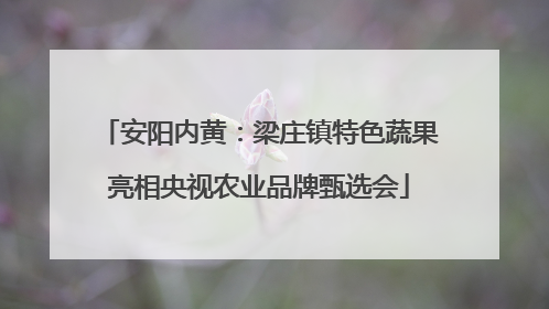 安阳内黄：梁庄镇特色蔬果亮相央视农业品牌甄选会