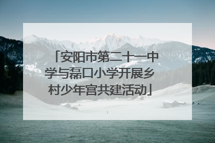 安阳市第二十一中学与磊口小学开展乡村少年宫共建活动