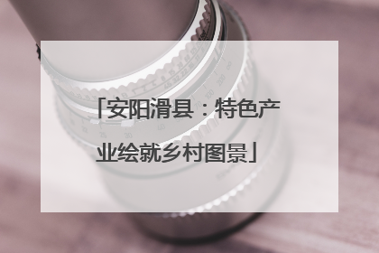 安阳滑县：特色产业绘就乡村图景