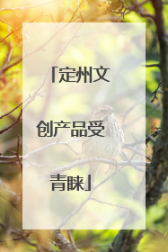 定州文创产品受青睐