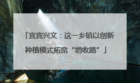 宜宾兴文：这一乡镇以创新种植模式拓宽“增收路”
