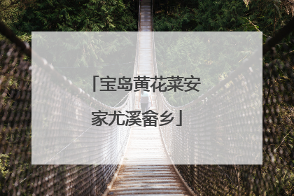 宝岛黄花菜安家尤溪畲乡