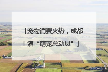 宠物消费火热，成都上演“萌宠总动员”