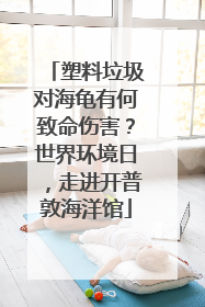 塑料垃圾对海龟有何致命伤害？世界环境日，走进开普敦海洋馆