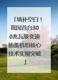 填补空白！我国首台300兆瓦级变速抽蓄机组核心技术实现突破