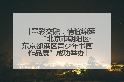 墨彩交融，情谊绵延——“北京市朝阳区·东京都港区青少年书画作品展”成功举办