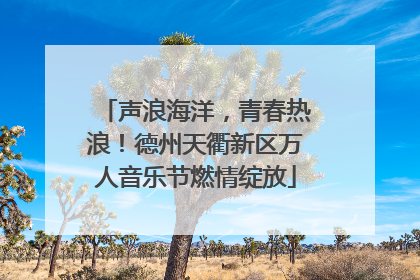 声浪海洋，青春热浪！德州天衢新区万人音乐节燃情绽放