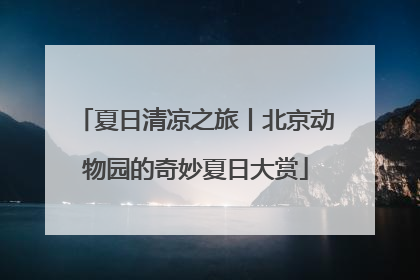 夏日清凉之旅丨北京动物园的奇妙夏日大赏