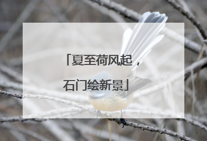 夏至荷风起，石门绘新景