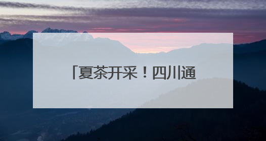 夏茶开采！四川通江5000余亩欧标茶园迎来采摘季