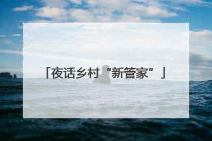 夜话乡村“新管家”