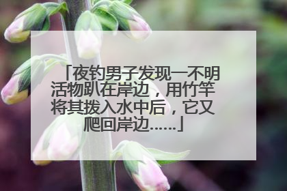 夜钓男子发现一不明活物趴在岸边，用竹竿将其拨入水中后，它又爬回岸边……