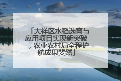 大祥区水稻选育与应用项目实现新突破，农业农村局全程护航成果斐然