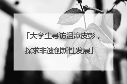 大学生寻访沮漳皮影，探求非遗创新性发展