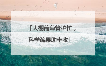 大棚葡萄管护忙，科学疏果助丰收