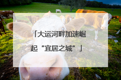 大运河畔加速崛起“宜居之城”