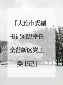 大连市委副书记刘恩举任金普新区党工委书记