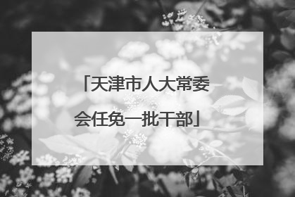 天津市人大常委会任免一批干部