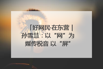 好网民·在东营｜孙雪慧：以“网”为媒传税音 以“屏”为介助发展