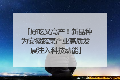 好吃又高产！新品种为安徽蔬菜产业高质发展注入科技动能