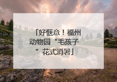好惬意！福州动物园“毛孩子”花式消暑