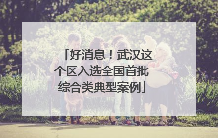 好消息！武汉这个区入选全国首批综合类典型案例