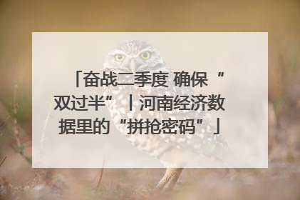 奋战二季度 确保“双过半”丨河南经济数据里的“拼抢密码”