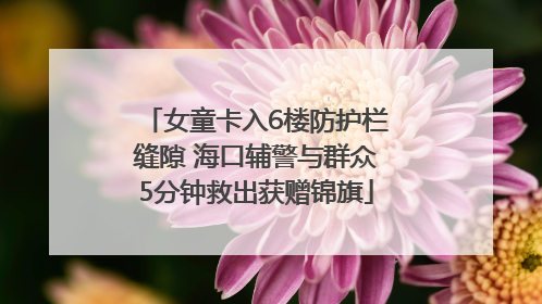 女童卡入6楼防护栏缝隙 海口辅警与群众5分钟救出获赠锦旗