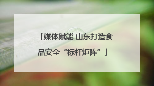 媒体赋能 山东打造食品安全“标杆矩阵”