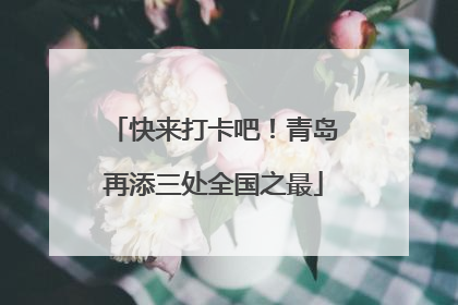 快来打卡吧！青岛再添三处全国之最