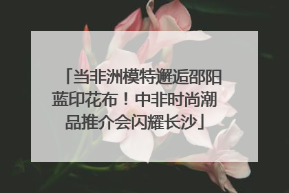 当非洲模特邂逅邵阳蓝印花布！中非时尚潮品推介会闪耀长沙