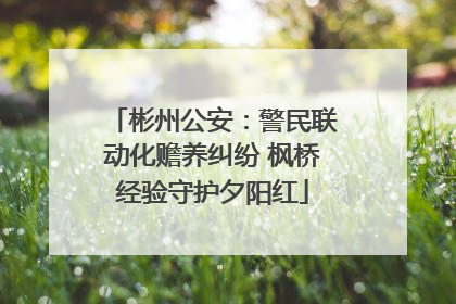 彬州公安：警民联动化赡养纠纷 枫桥经验守护夕阳红