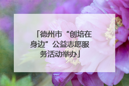 德州市“创培在身边”公益志愿服务活动举办