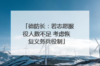 德防长：若志愿服役人数不足 考虑恢复义务兵役制