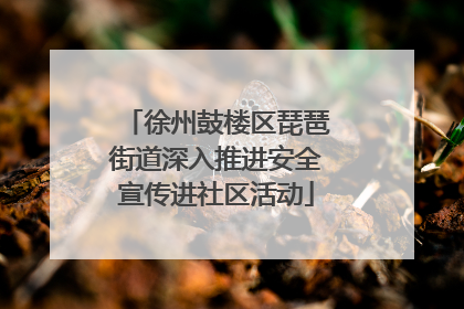 徐州鼓楼区琵琶街道深入推进安全宣传进社区活动