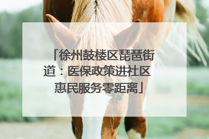 徐州鼓楼区琵琶街道：医保政策进社区 惠民服务零距离