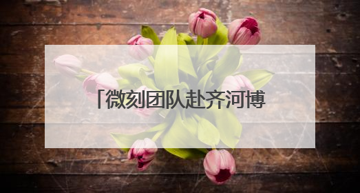 微刻团队赴齐河博物馆群与泉溪生物考察交流，拓展永生传记服务生态
