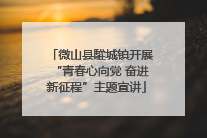 微山县驩城镇开展“青春心向党 奋进新征程”主题宣讲