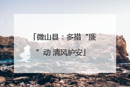 微山县：多措“廉”动 清风护安