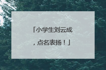 小学生刘云成，点名表扬！