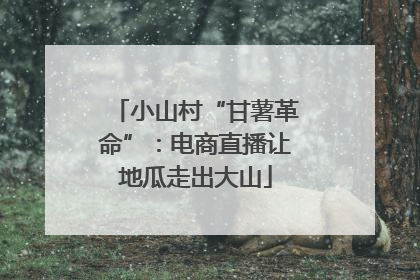 小山村“甘薯革命”：电商直播让地瓜走出大山