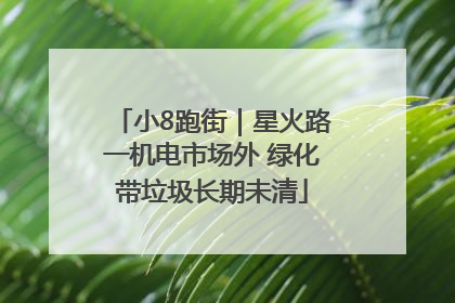 小8跑街｜星火路一机电市场外 绿化带垃圾长期未清
