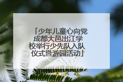 少年儿童心向党 成都大邑出江学校举行少先队入队仪式暨游园活动