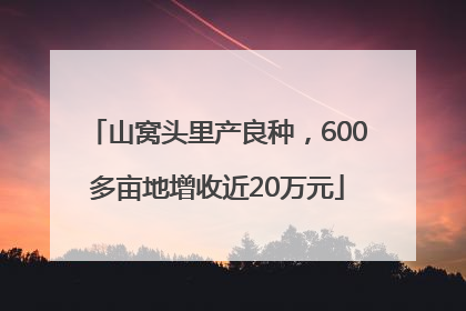 山窝头里产良种，600多亩地增收近20万元