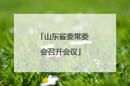 山东省委常委会召开会议