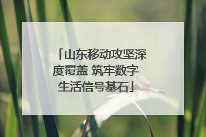 山东移动攻坚深度覆盖 筑牢数字生活信号基石