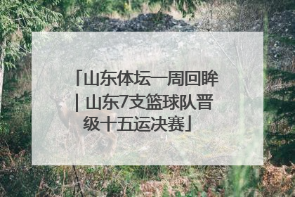 山东体坛一周回眸｜山东7支篮球队晋级十五运决赛