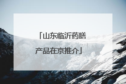 山东临沂药膳产品在京推介