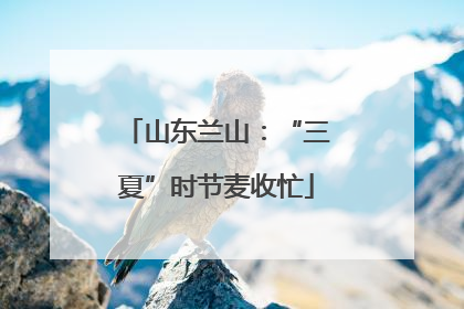 山东兰山：“三夏”时节麦收忙